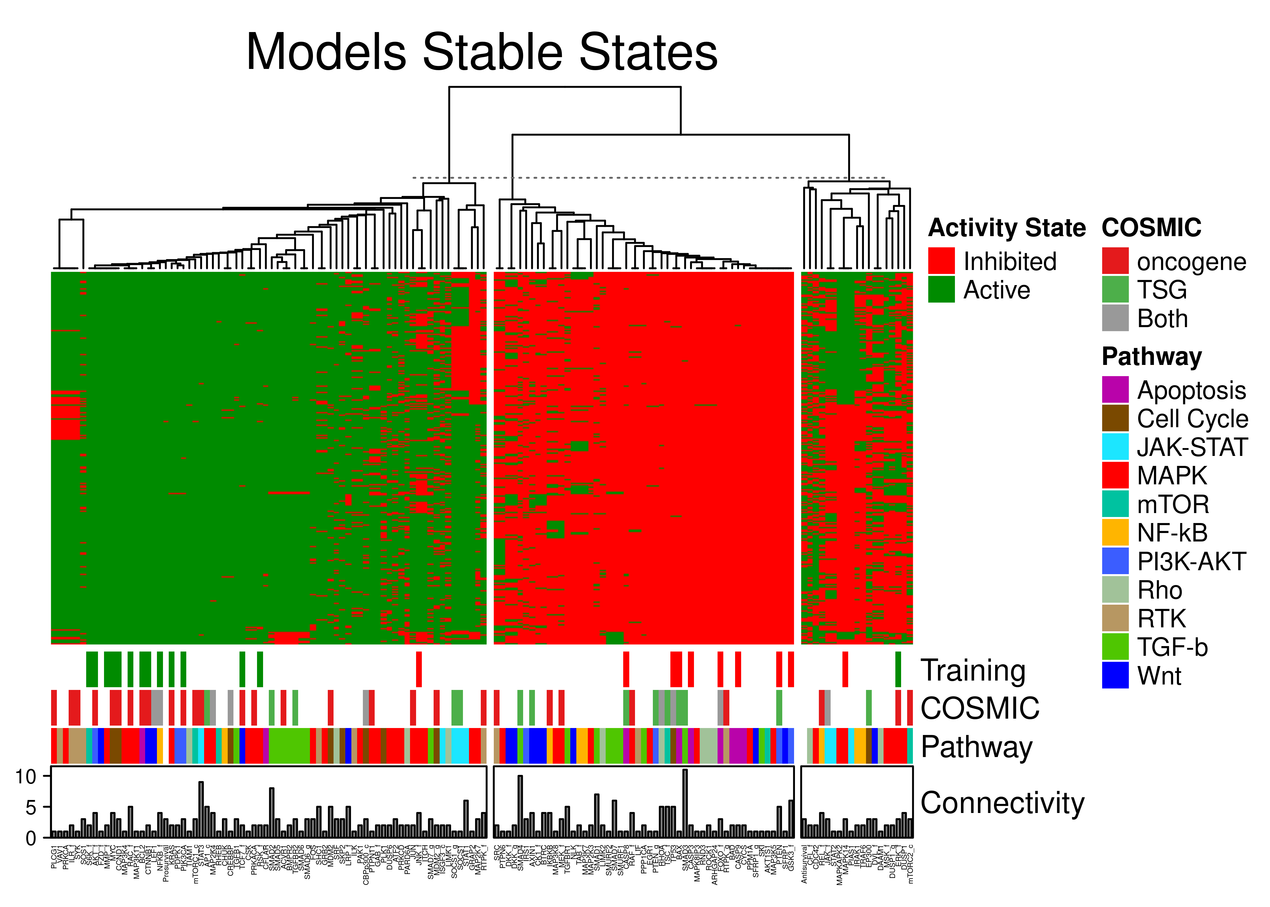 Stable state annotated heatmap for the topology-mutated models. A total of 144 CASCADE 2.0 nodes have been grouped to 3 clusters with K-means. Training data, pathway and edge target in-degree connectivity annotations are shown.