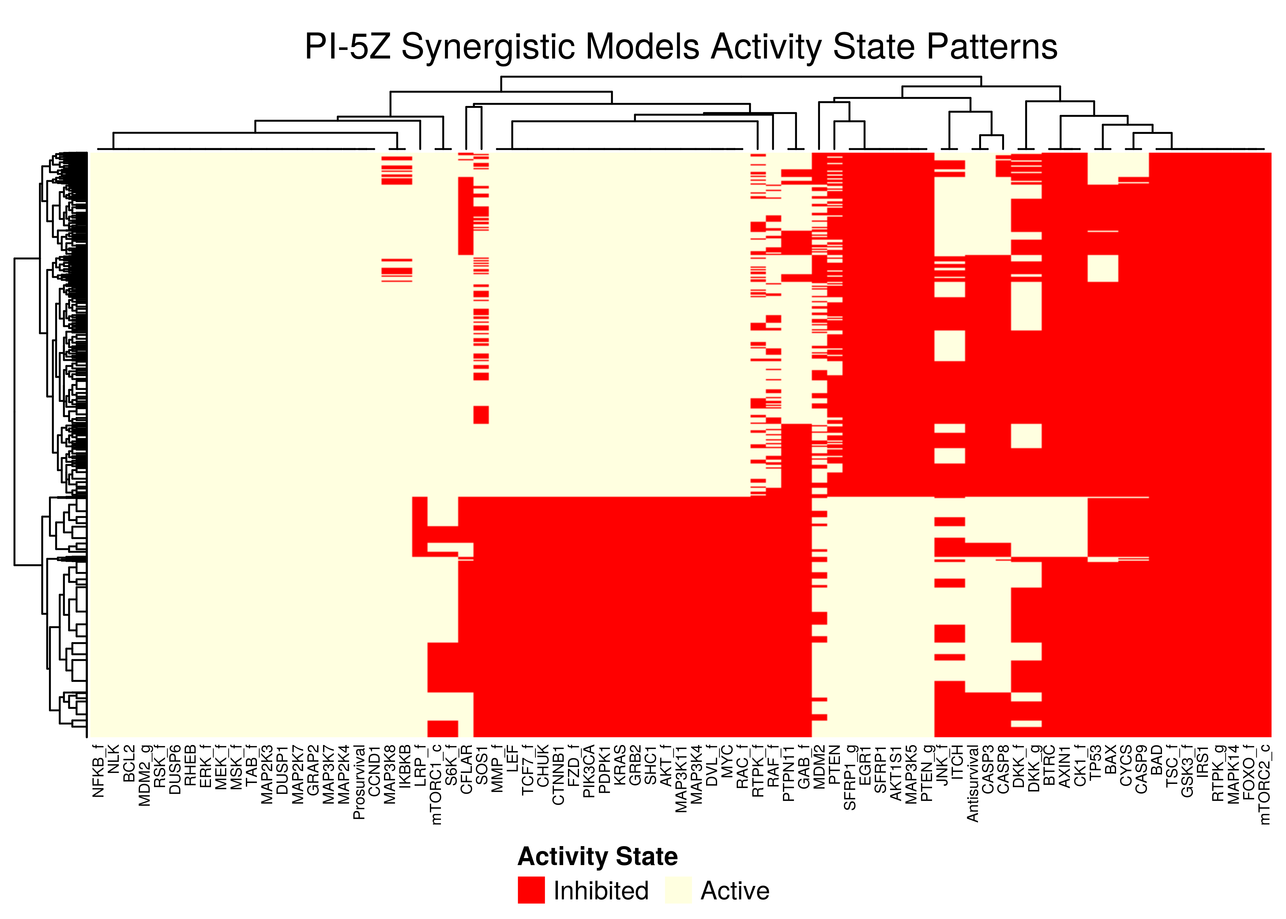 PI-5Z stable state activity heatmaps