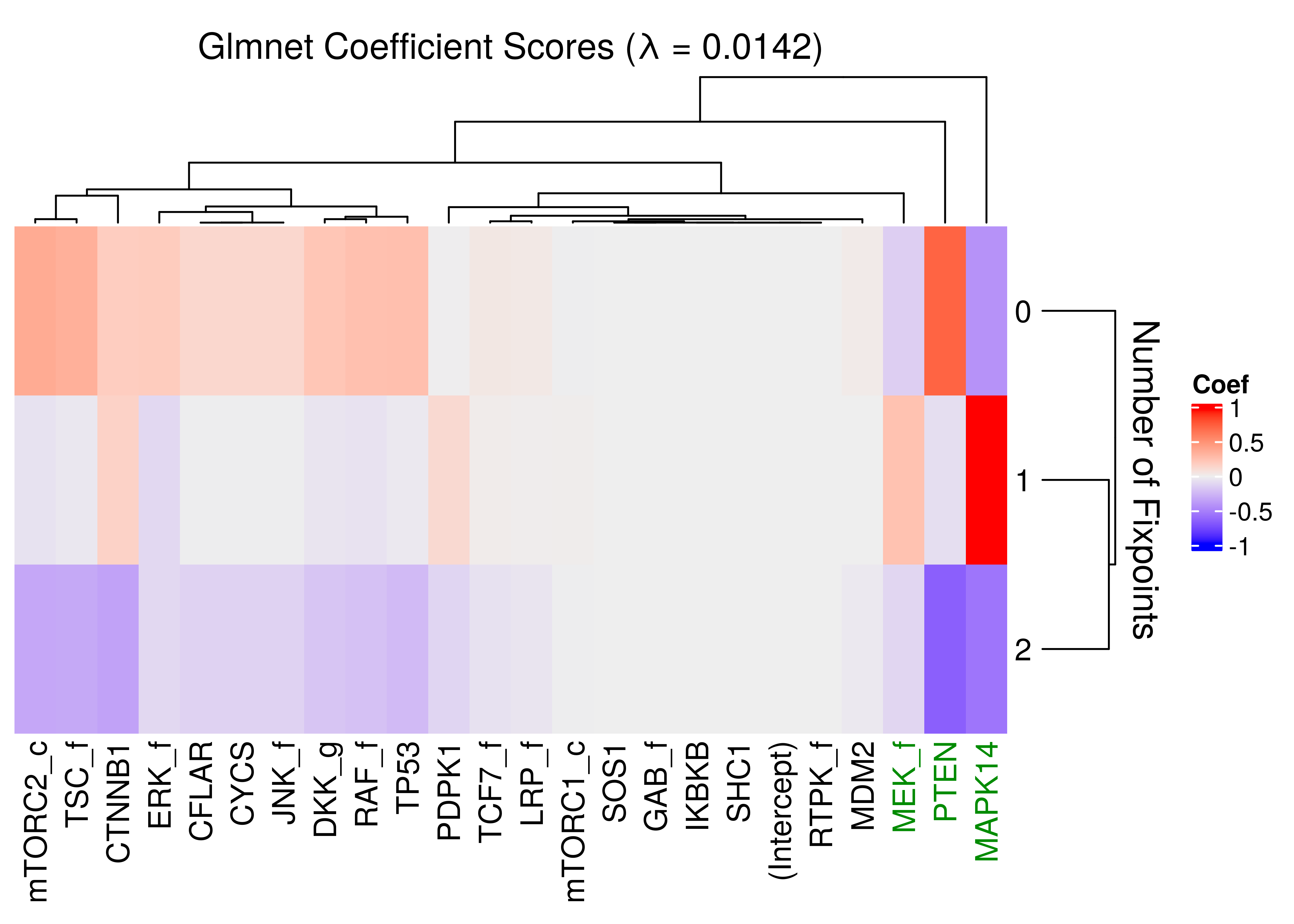 Heatmap of coefficients of multinomial model (glmnet)