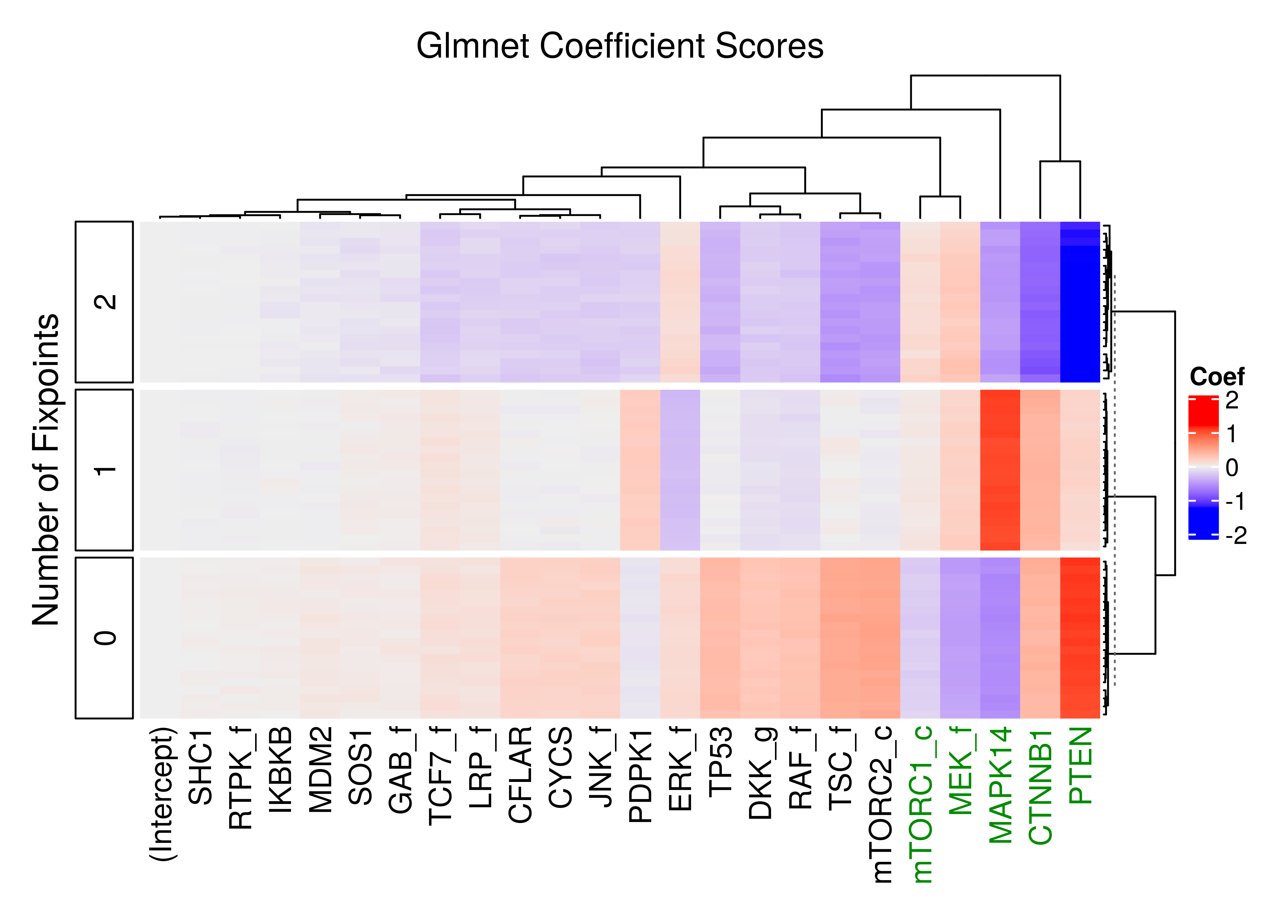 Heatmap of coefficients of multinomial model (glmnet - 20 CV models)